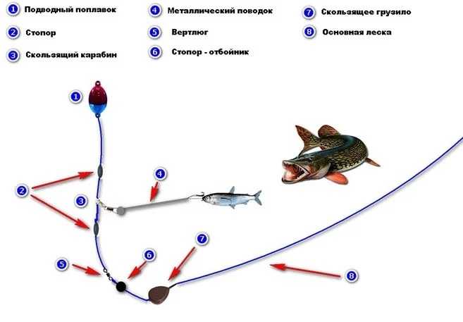 Щука на спиннинг: снасти, тест, строй, длина, поиск, оснащение. советы начинающим по выбору бюджетной модели спиннинга
