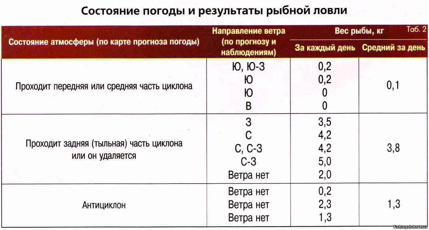 При каком давлении лучше клюет рыба: почему влияет, особенности