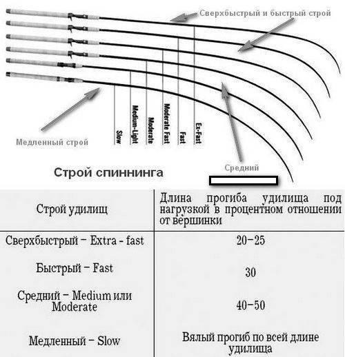 Учимся читать информацию о спиннинге - fish-club.net