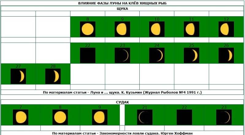 Влияние луны на клев рыбы