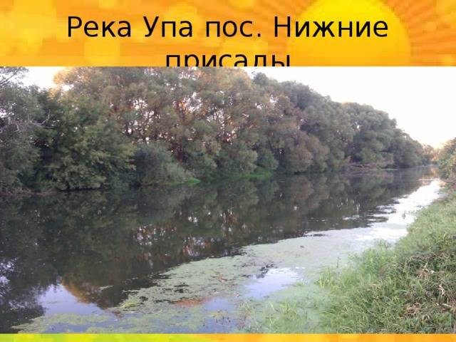 Сообщение о реке упа тульской области