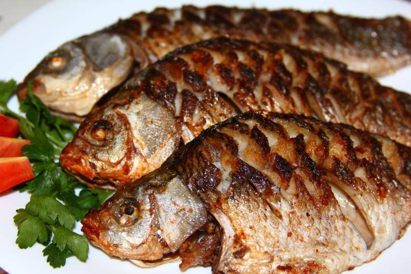 Красноперка: польза, вред и калорийность | food and health
