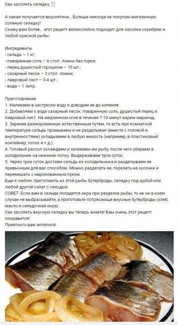 Селедка горячего копчения: рецепт для домашнего приготовления