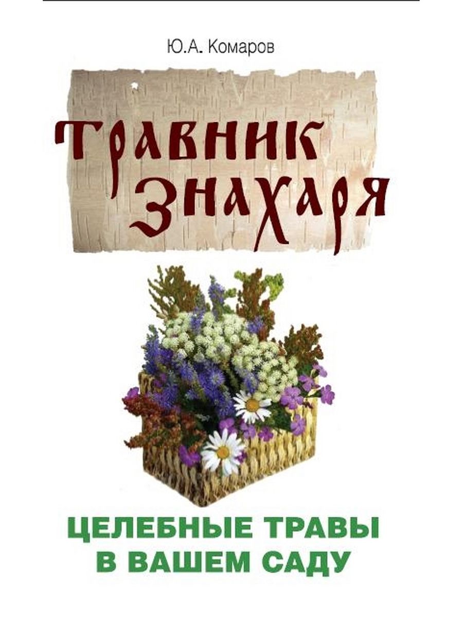 Правильный уход за аквариумными растениями: неприхотливые растения для начинающих