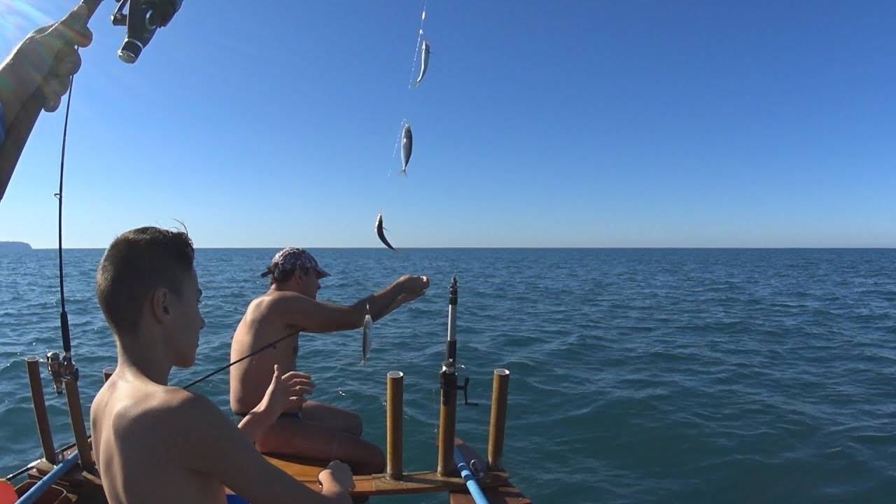 Рыбалка на чёрном море с берега-как правильно и на что ловить на чёрном море