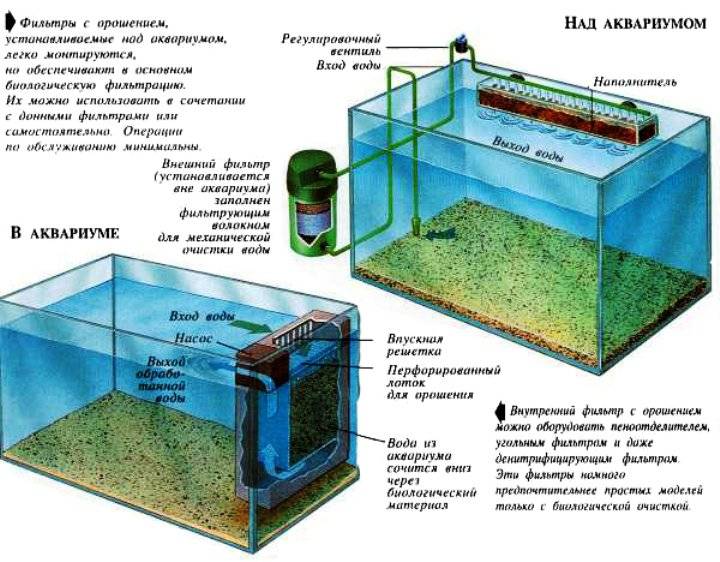 Сколько воды должно быть в аквариуме. Система фильтрации для аквариума 300 литров схема. Схема системы наружного фильтра для аквариума. Фильтрация воды в аквариуме 200 литров. Донный фильтр для аквариума 250 литров.