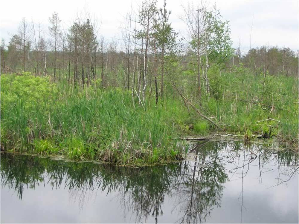 Озеро горькое, новоключи — отдых, база, свойства воды, на карте, отзывы, как добраться