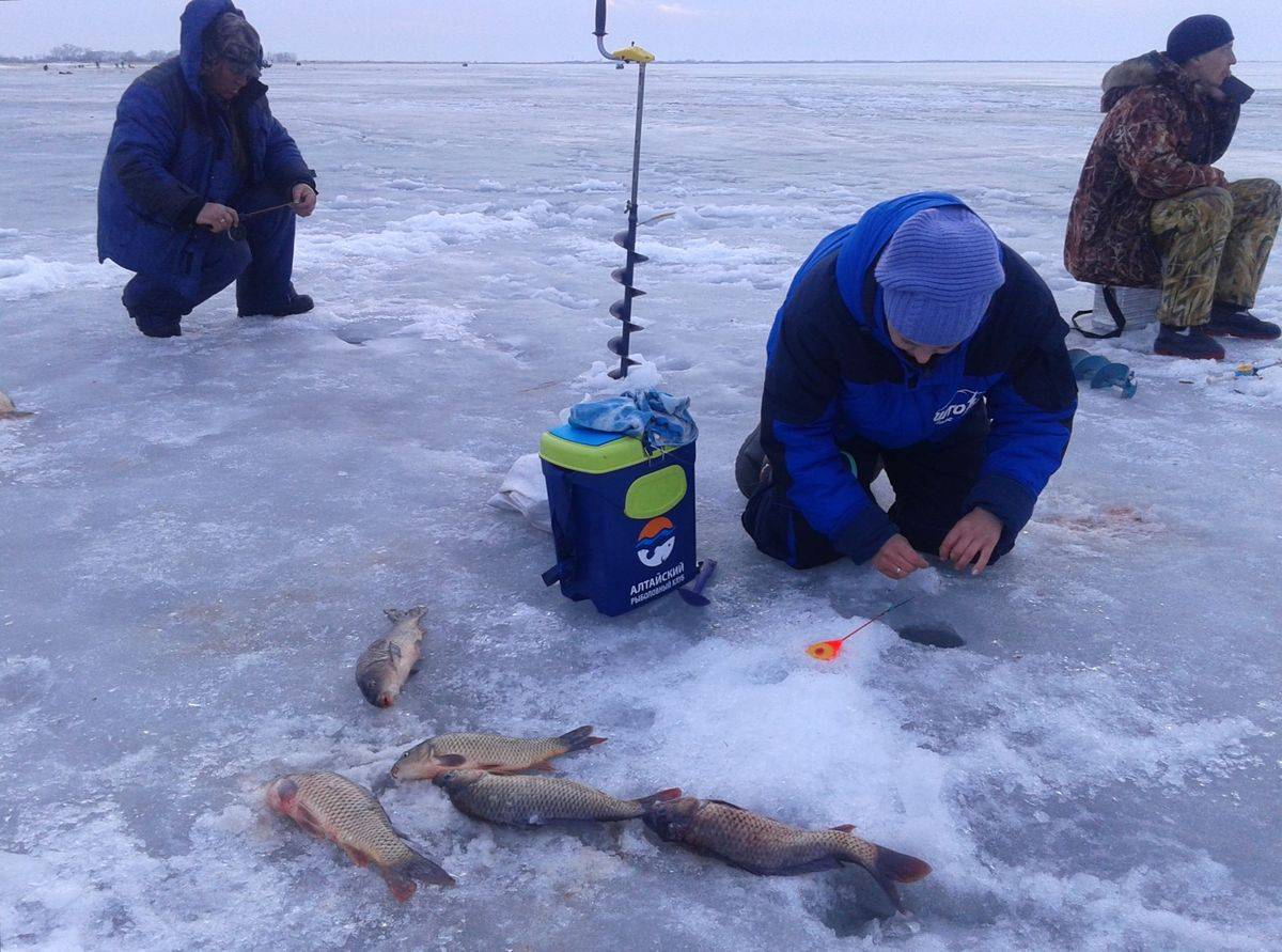 Зимняя рыбалка - лучшая ловля 2022 на жерлицы, удочки, осмотр снастей