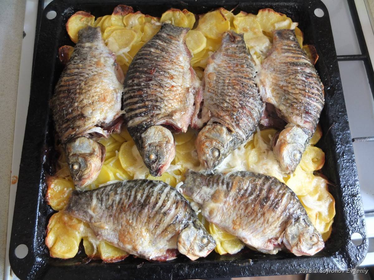Как приготовить карася — вкусные рецепты приготовления запеченной рыбы, необходимые ингредиенты