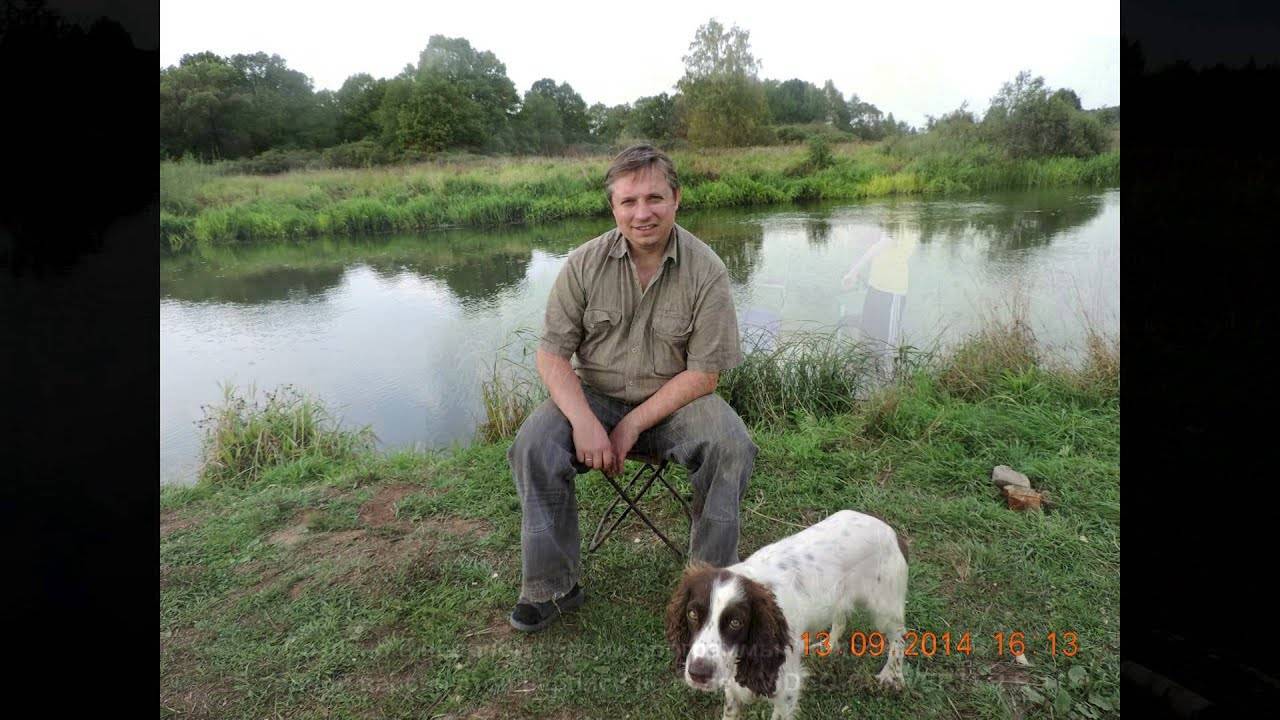 Sherna river, noginsk region. sherne fishing - society - 2024