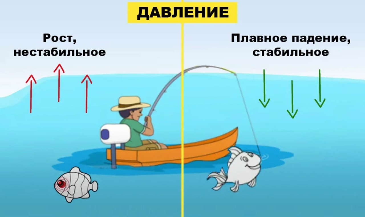 Какое давление лучше для рыбалки - влияние ветра и погоды на клев