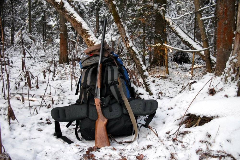 Как не стать браконьером, на кого, как и где можно охотиться в россии
