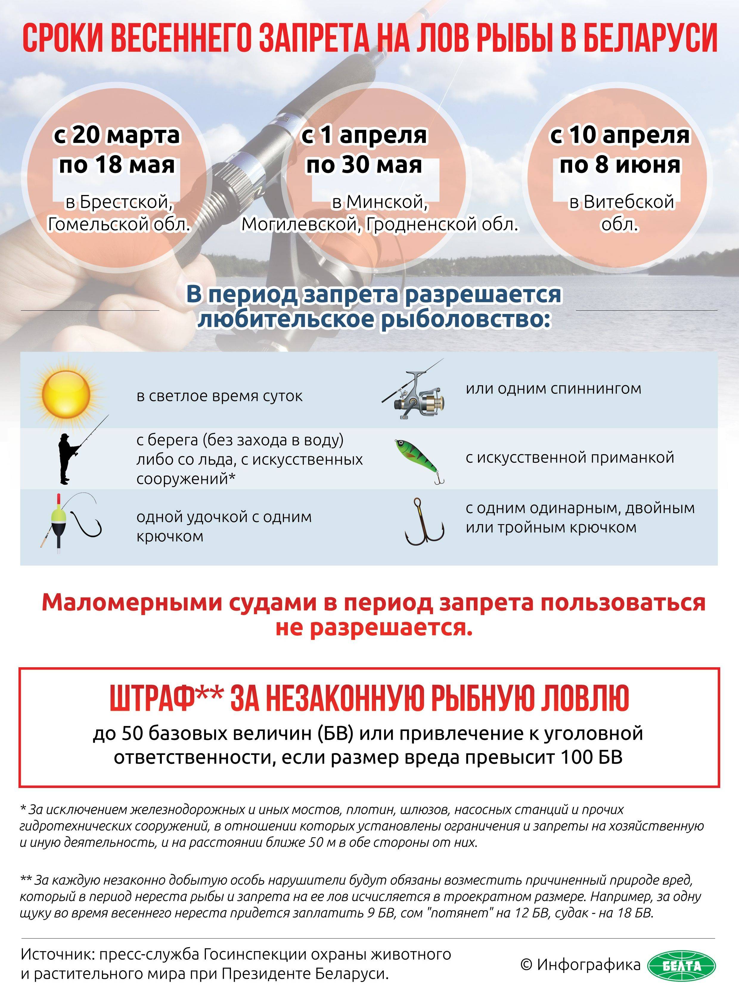 Когда запрещено ловить рыбу. Запрет на ловлю рыбы. Ограничения на рыбную ловлю. Запрет на ловлю щуки в Беларуси. Запрет на ловлю рыбы табличка.
