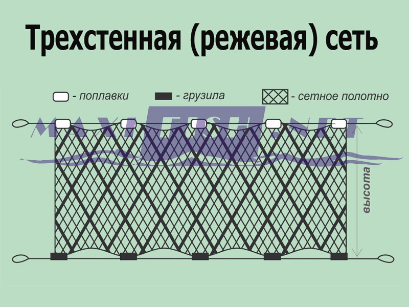 Сеть трех стенка. Рыболовная сеть трехстенка 2м Нептун капрона. Трехстенные рыболовные сети. Сетка трехстенка для рыбалки. Сетка путанка для рыбалки.