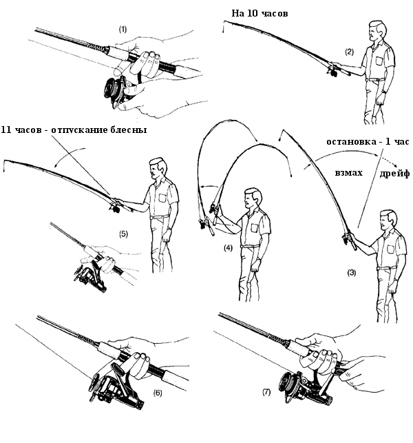 Как правильно закидывать удочку. Техника заброса фидера для начинающих. Техника заброса спиннинга с безынерционной катушкой для начинающих. Заброс спиннинга для начинающих с безынерционной катушкой. Правильный хват спиннинга с безынерционной катушкой.