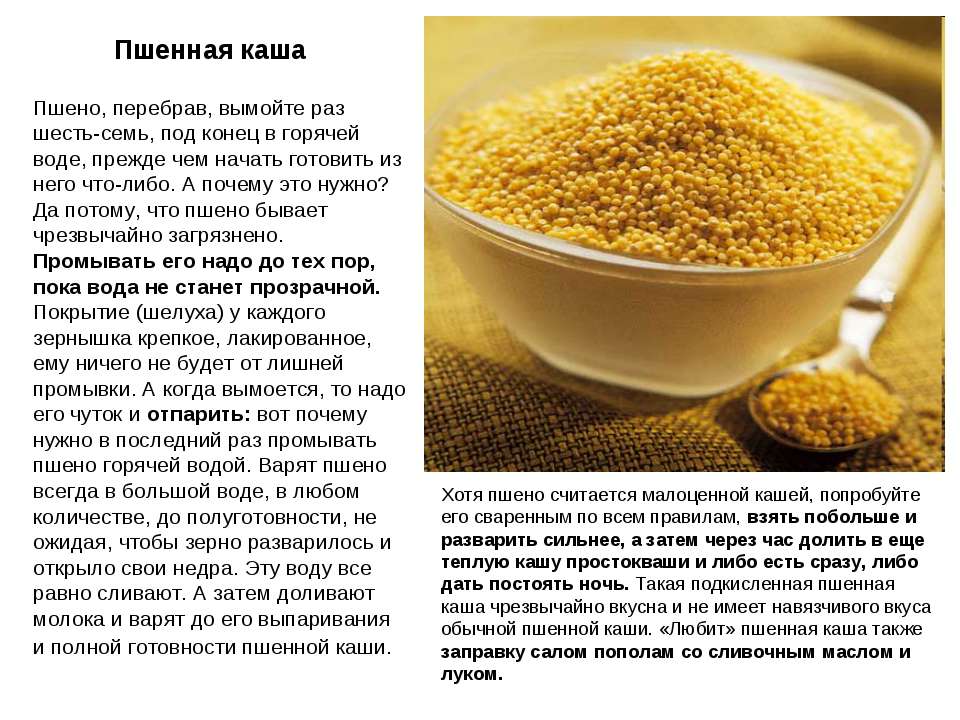 Польза и вред пшенной каши для здоровья: готовить на воде или молоке? — med-anketa.ru