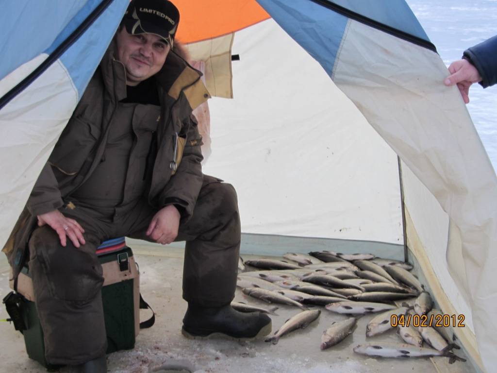 Ловля рыбы муксун на спиннинг: приманки и способы ловли рыбы
