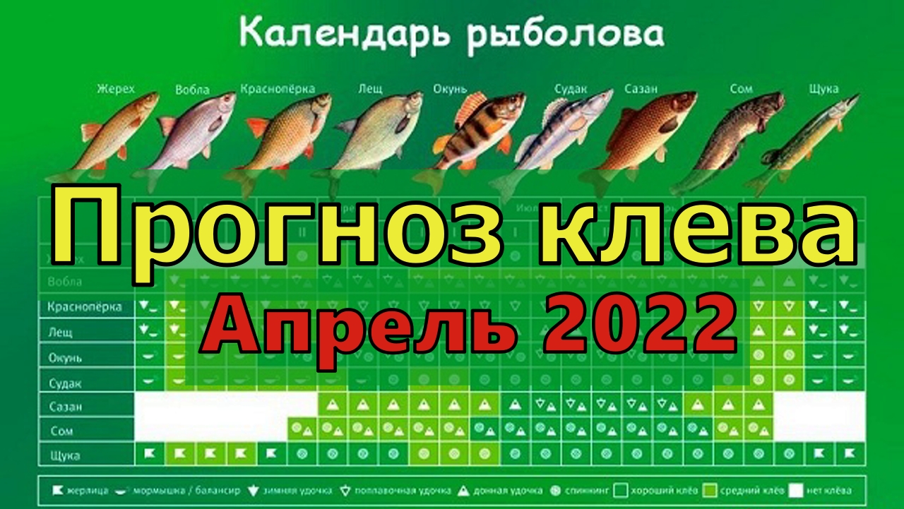 Сообщества › Охота и Рыбалка › Блог › Рыбалка на реке «Беренжа» в Хабаровском крае.