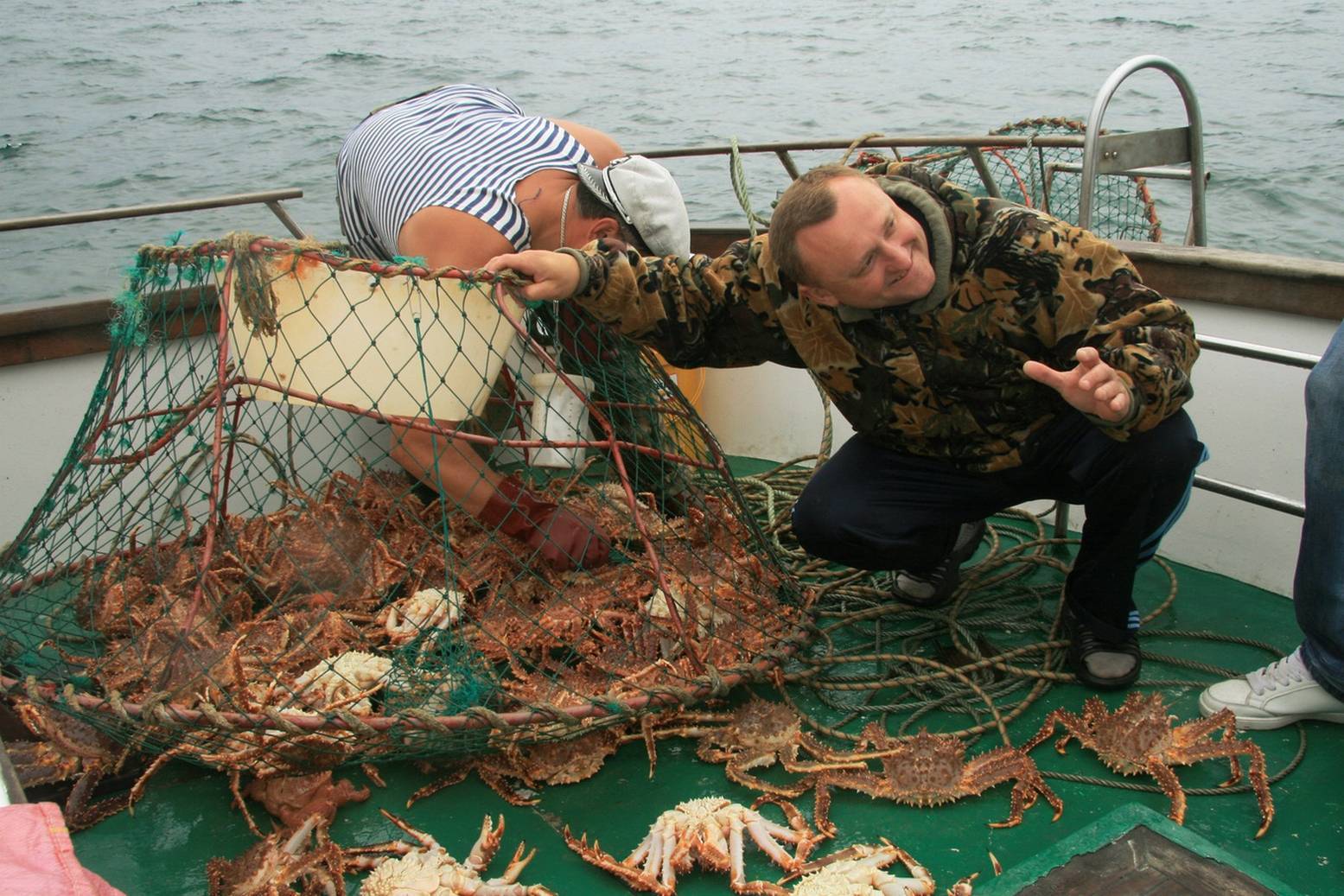 Ловля камчатского краба в море: сезонность промысла и способы добычи