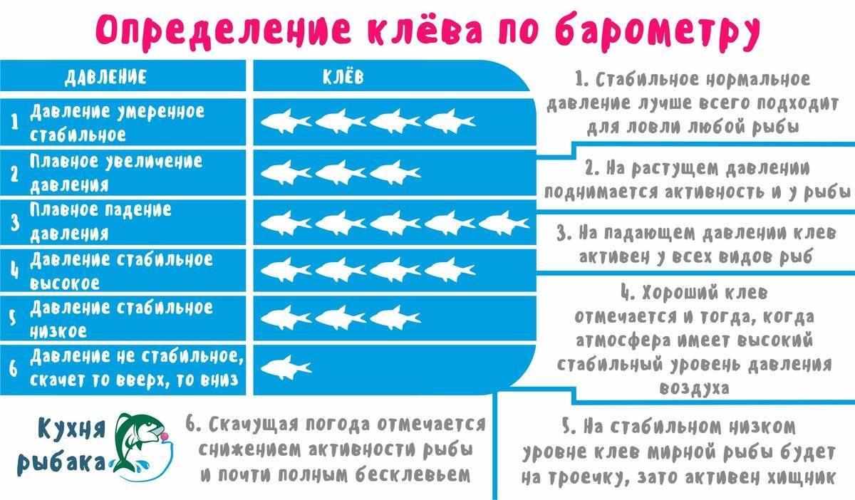 Плохой и хороший ветер для рыбалки. мой опыт и наблюдения