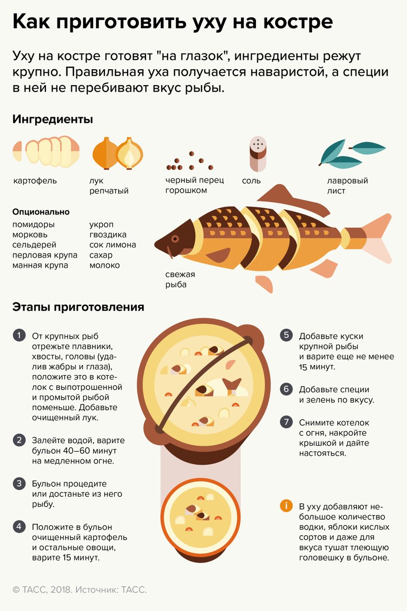 Рецепты ухи в домашних условиях приготовление