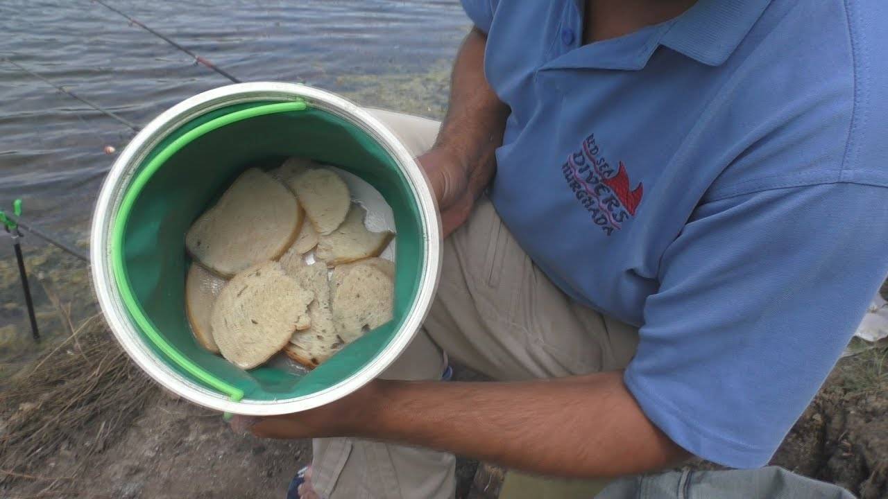 Каша для кормушки на карася: рецепты салапинской и гороховой каши, как приготовить своими руками для рыбалки, какую прикормку лучше выбрать