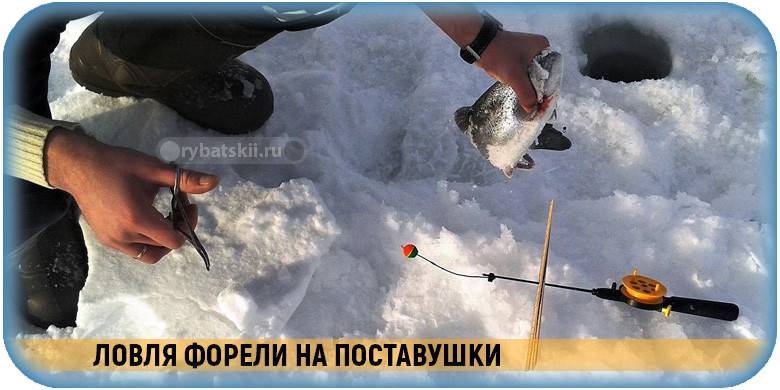 Зимняя рыбалка на течении, оснащение удочки и тактика ловли