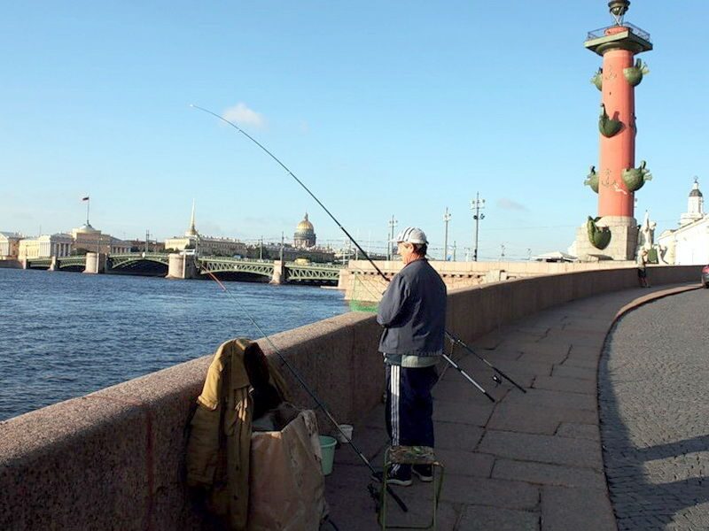Рыбалка на неве в городе: что клюет и кого можно поймать рыбалка в черте санкт-петербурга места: озера пруды и реки