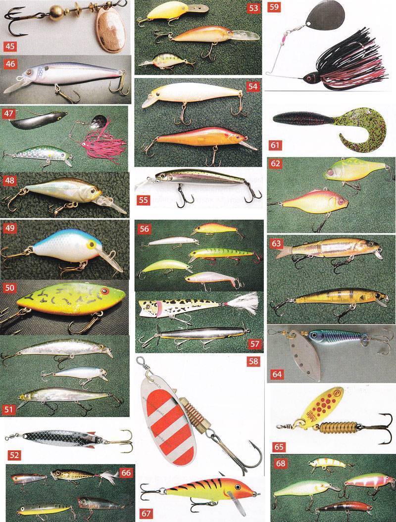 Как ловить окуня на спиннинг: секреты и тонкости рыбалки