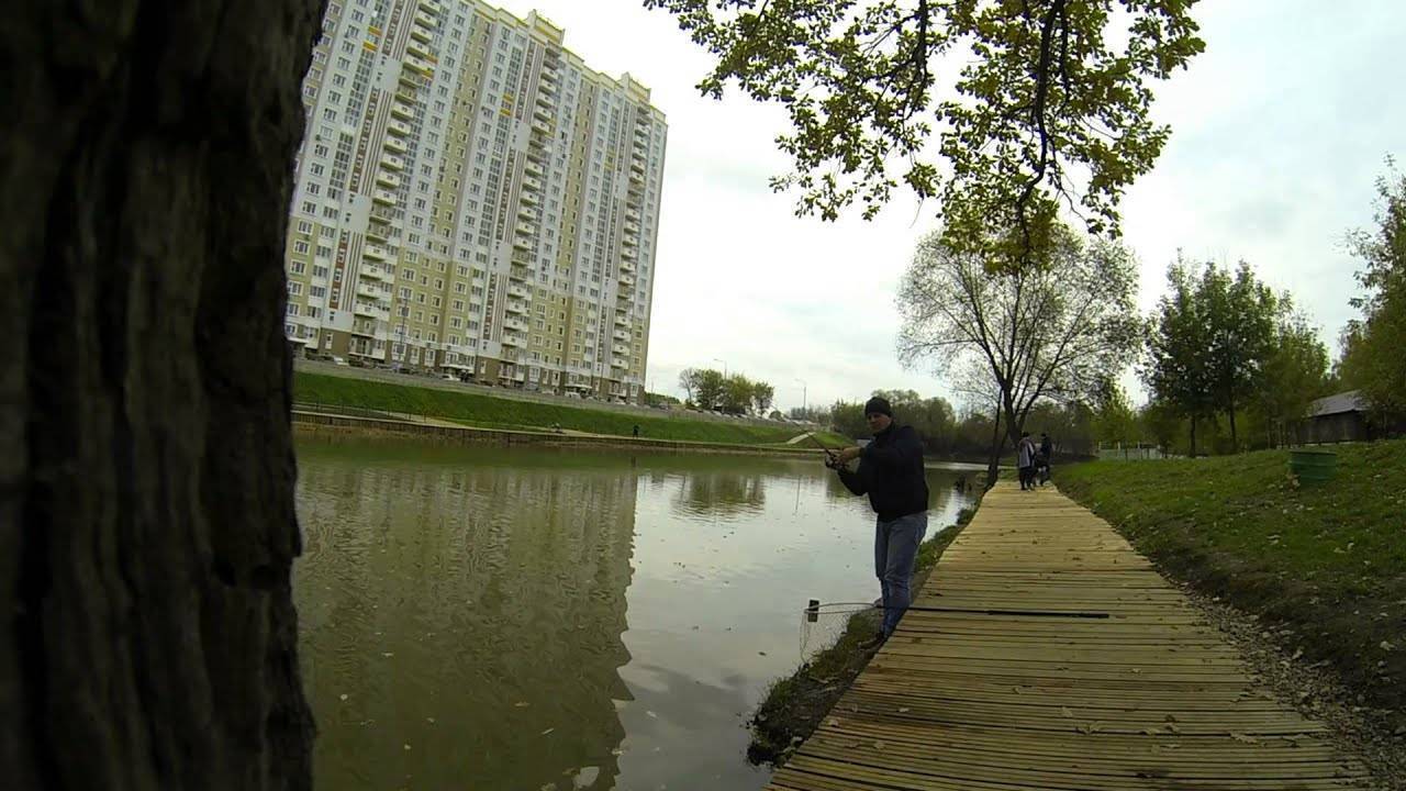 Рыбалка в химках - куда поехать на рыбалку в химках