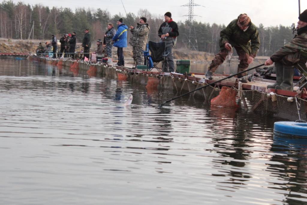Места для рыбалки в камчатском крае – платная и бесплатная рыбалка!
