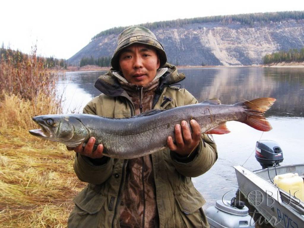 Рыбалка на реке лена - рыболов