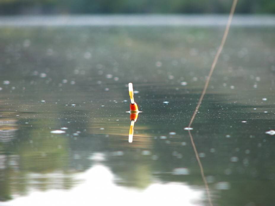 Поклевка рыбы. Рыбалка в дождь. Рыбалка под дождем. Поклевка на поплавок.