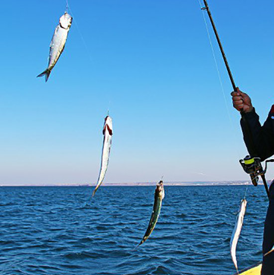 Рыбалка в крыму | лучшие места для рыбной ловли 2022, где можно рыбачить