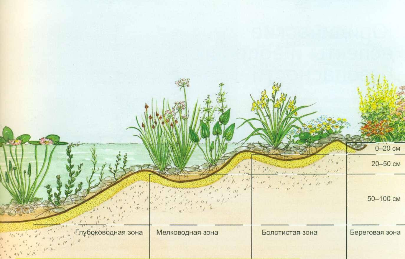 Как измерить глубину водоема с берега