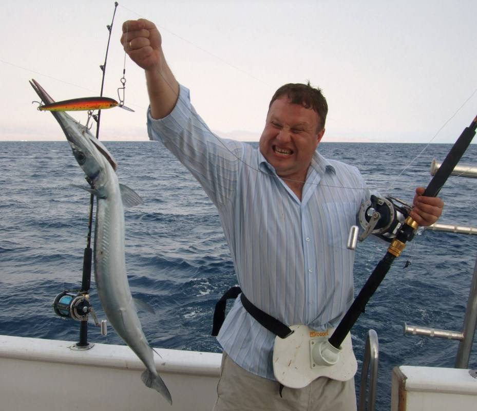 Ловля саргана в черном море: морская рыбалка со вкусом - черноморие.рф