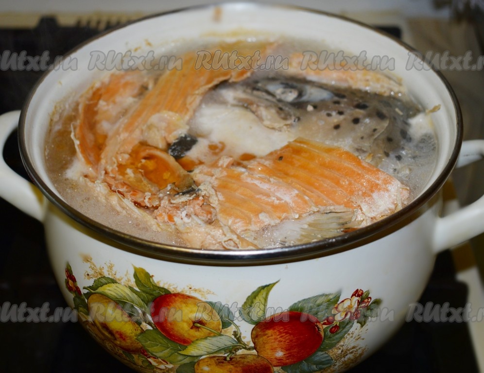 ???? уха из головы семги: вкусно, просто и совсем недорого