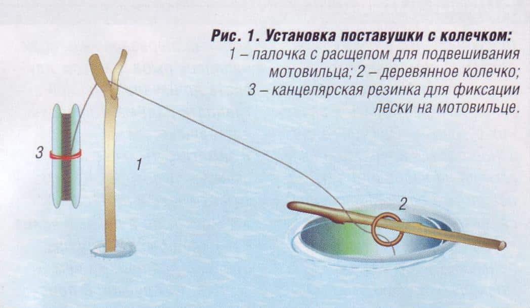 Поставушки на судака, налима: летние поставушки летом, изготовление своими руками