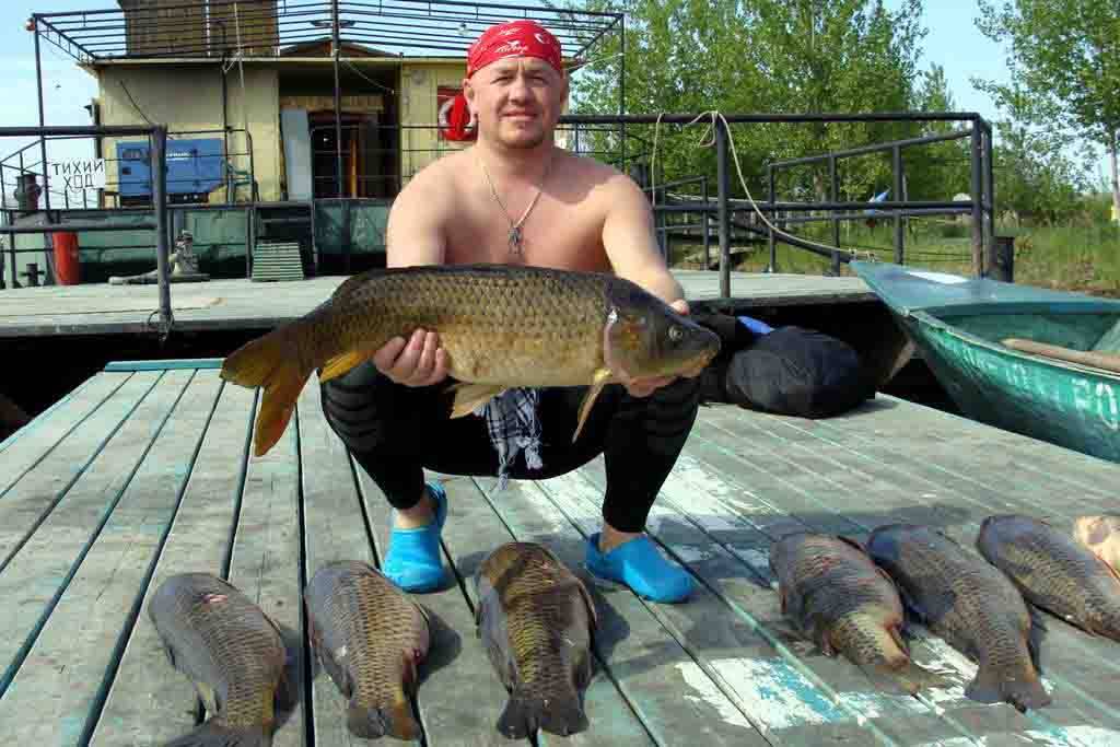 Рыбы озера ильмень. Рыбалка в Астрахани. Рыбацкие места на Волге. Раскаты рыбалка. Рыбы дельты Волги.