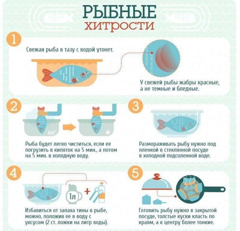 Лайфхаки для рыбалки своими руками, для рыбалки летом, для зимней рыбалки. хитрости для ловкой и удачной рыбалки