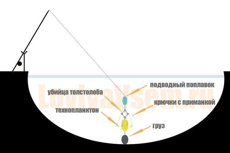 Ловля на поплавочную снасть. ловля карпа, леща, толстолобика, белого амура. секреты и хитрости успешной рыбалки