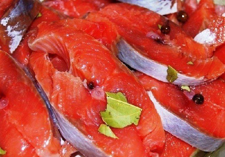 10 рецептов засолки семги в домашних условиях