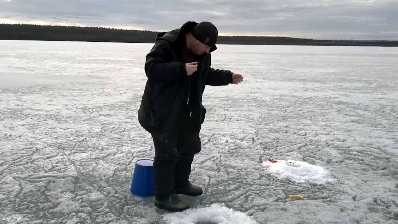Обзор зимних приманок для подледной ловли рыбы - читайте на сatcher.fish