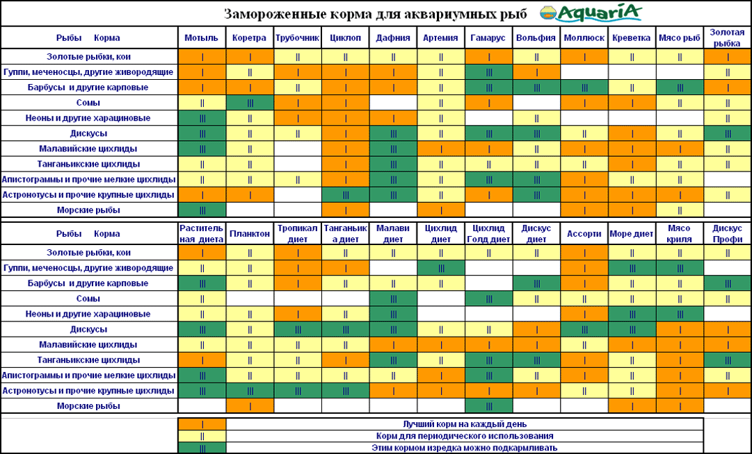 проведи наблюдения за аквариумными рыбами и заполни таблицу