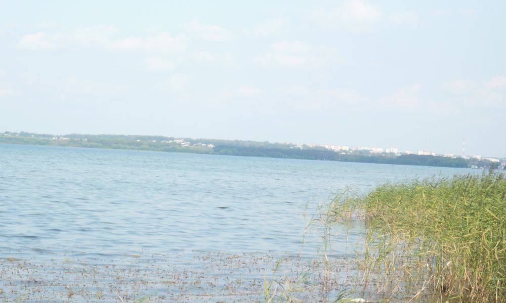 Плещеево озеро рыба. Озеро в Коровино Переславль. Плещеево рыбалка. Озеро Плещеево рыбалка с берега.