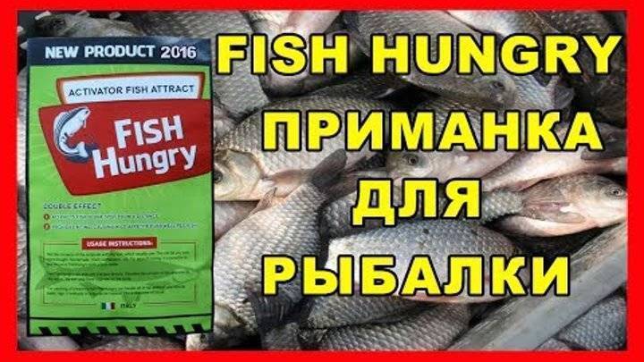 Использование активатора клева fishhungry: как приготовить активатор клева перед рыбалкой?