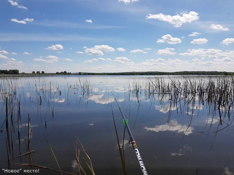 Рыбалка в рязани и рязанской области платная и бесплатная  2022