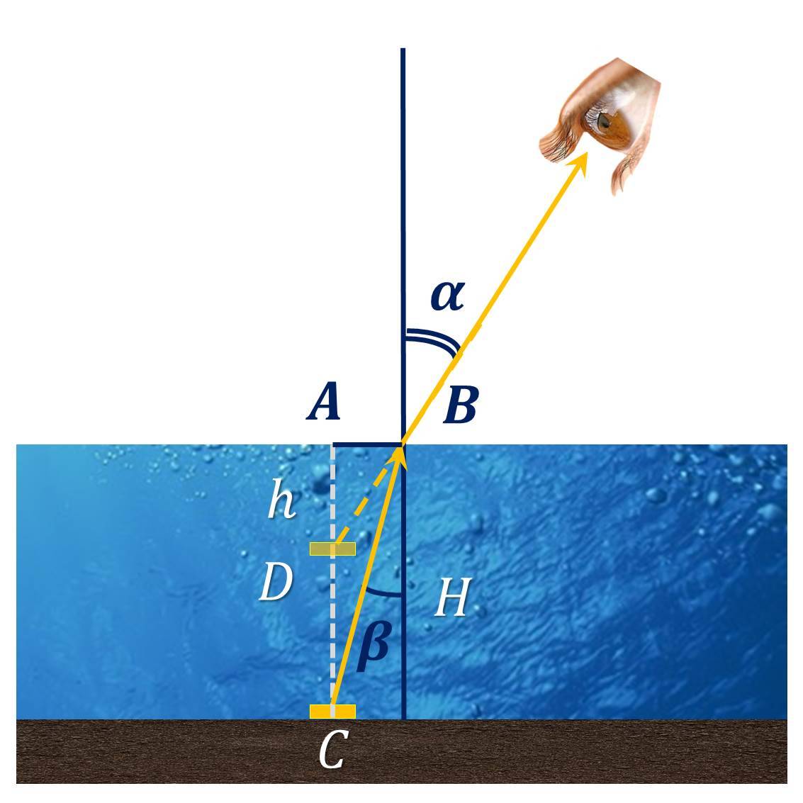 Как определить глубину водоема