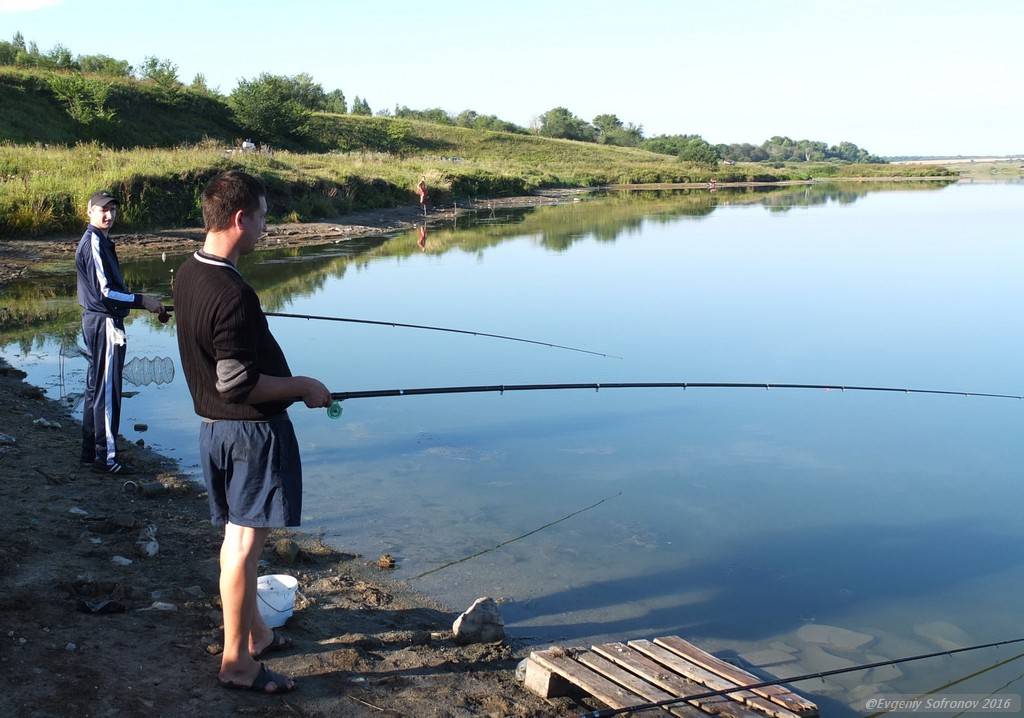 Места для рыбалки в амурской области – платная и бесплатная рыбалка!