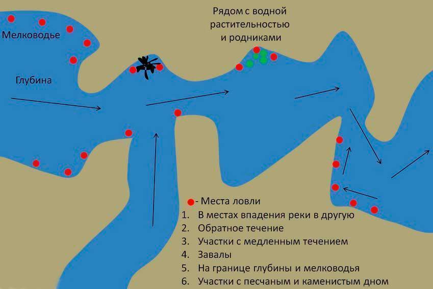 Амантогай костанайская область: лучшие места для рыбалки